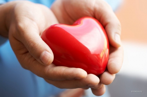 Лечение заболеваний сердца и сердечно-сосудистой системы: